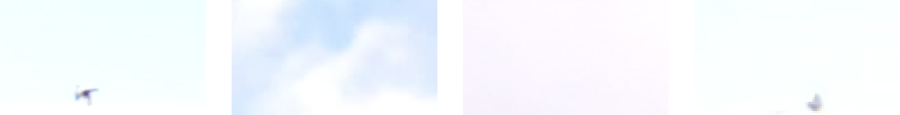 Synchronous occurences of birds at identical timestamps across different days.